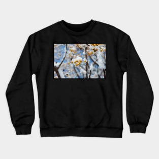 tree branch with small yellow berries Crewneck Sweatshirt